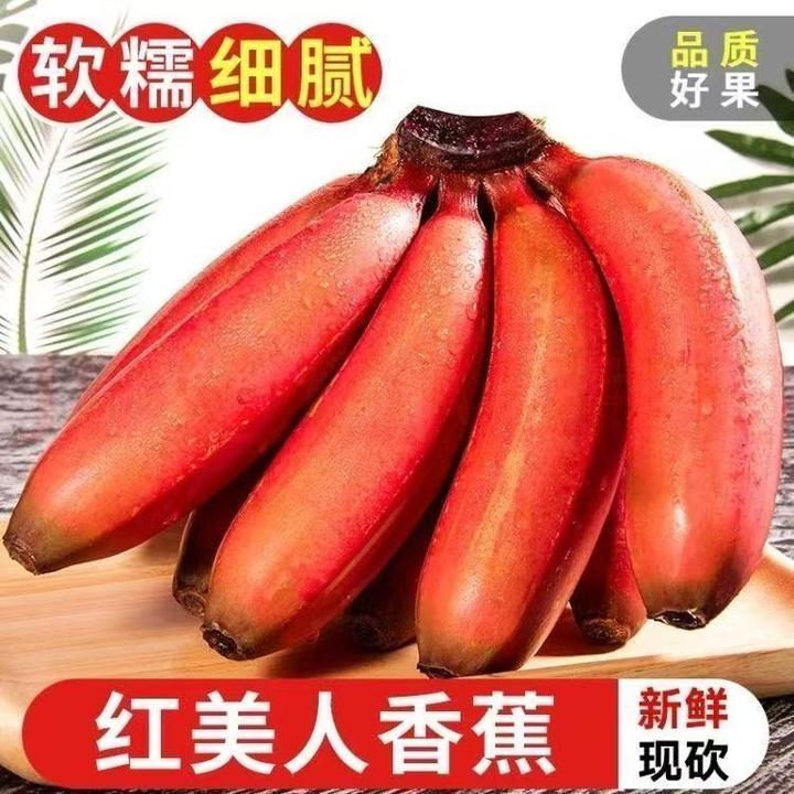 TY红美人香蕉当季新鲜水果果园现摘现发香蕉坏果包赔
