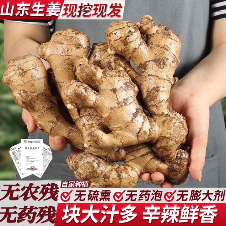 【新鲜老姜】无熏硫无药残生姜正宗山东大姜辣味足农家种植黄姜蔬菜
