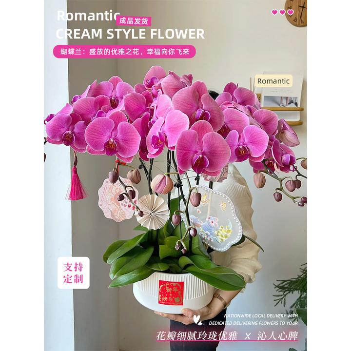 新年蝴蝶兰盆栽鲜花速递同城上海广州配送探望开业乔迁送礼商务