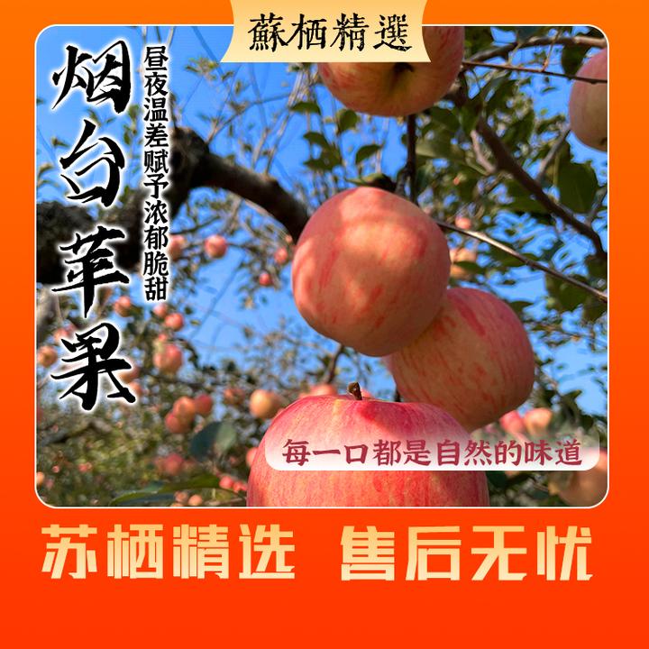 【精品礼盒】山东烟台红富士苹果 80规格一级果 坏果包赔 顺丰到家