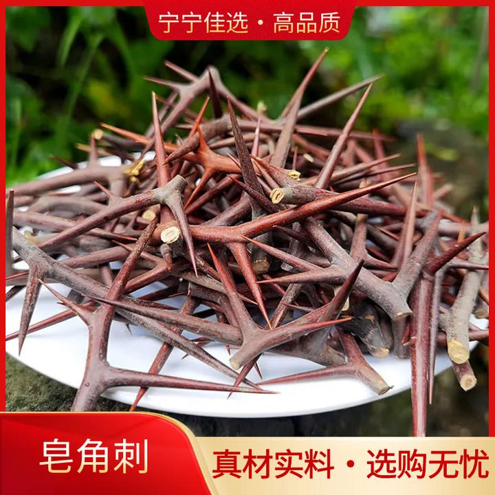 皂角刺正宗野生皂角针皂荚刺天丁皂针大皂刺精选正品干货非皂角米