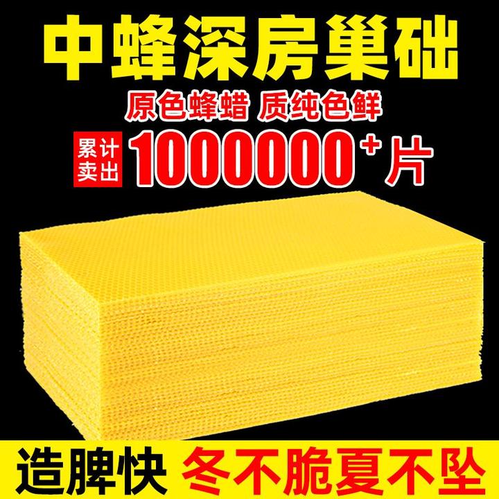 巢础中蜂蜂巢蜜蜂全套巢基专用深房蜂蜡养蜂巢皮工具蜂箱巢脾
