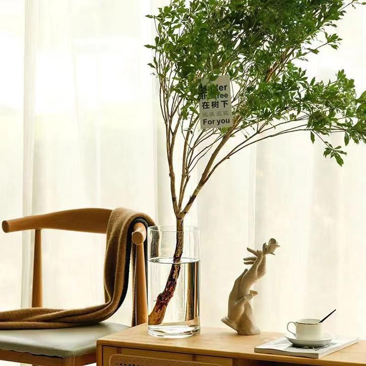 落地玻璃花瓶加厚透明直筒文昌竹龟背竹富贵竹带插花雪柳鲜枝水养