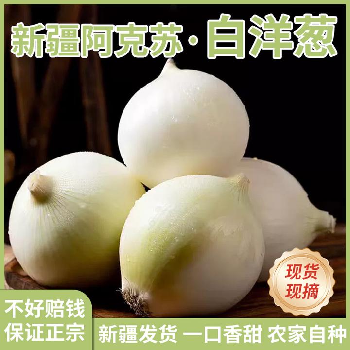 新疆白皮自种产品水果白皮牙子凉拌炒菜大蒜白玉农家新疆水果洋葱