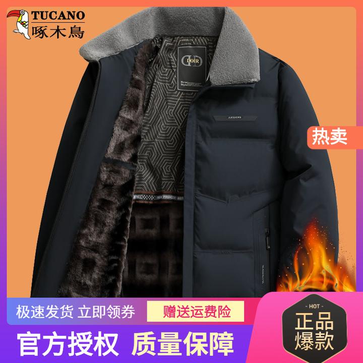 啄木鸟啄木鸟男士冬季翻领棉服中年商务短款加绒加厚毛领保暖外套