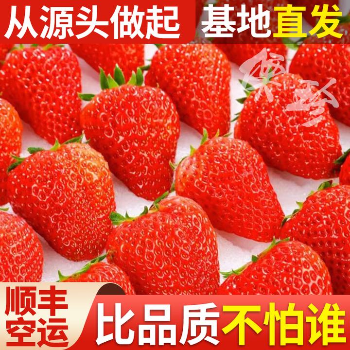 【顺丰空运】新鲜草莓大凉山草莓头茬大果新鲜现摘现发甜草莓甜美