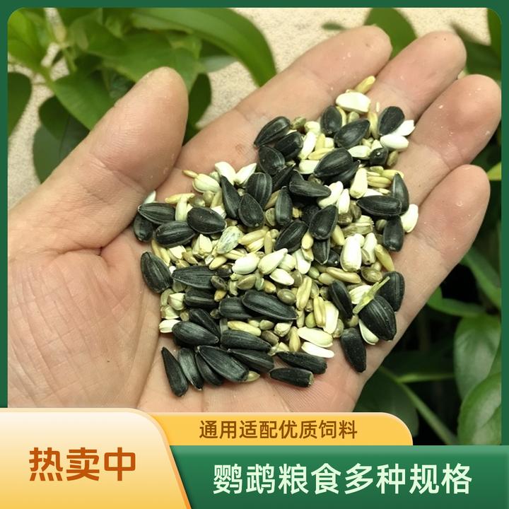 鹦鹉鹦鹉粮主粮大中小型均可（鹦鹉专用）