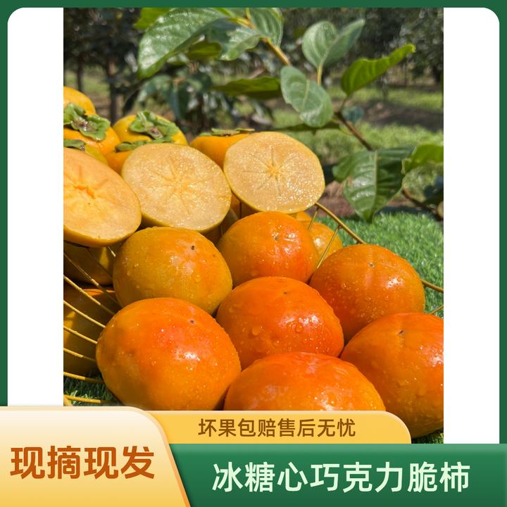 【冰糖心巧克力脆柿】2025年新鲜采摘香甜多汁山西阳丰脆柿果园直发