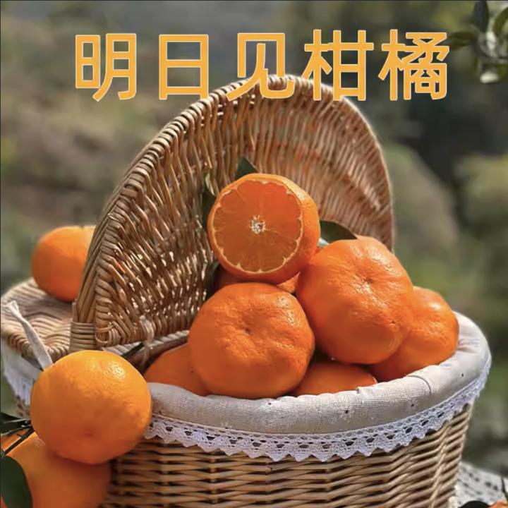 咪佳甜四川蒲江明日见柑橘桔子应季新鲜水果新品柑橘皇后爆甜多汁