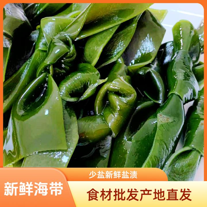 新鲜盐渍海带结火锅麻辣烫串串香摆摊食材商用批发福建霞浦海带