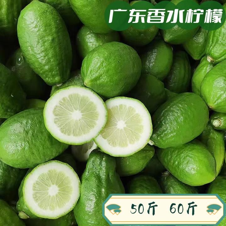 《柠檬之王生鲜店》一级果正宗广东香水柠檬新鲜采摘手打爆打鸭屎香
