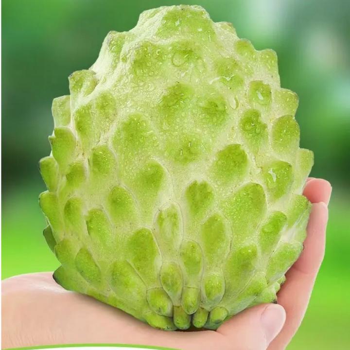 凤梨释迦果产地直发-放软再吃爆香爆甜