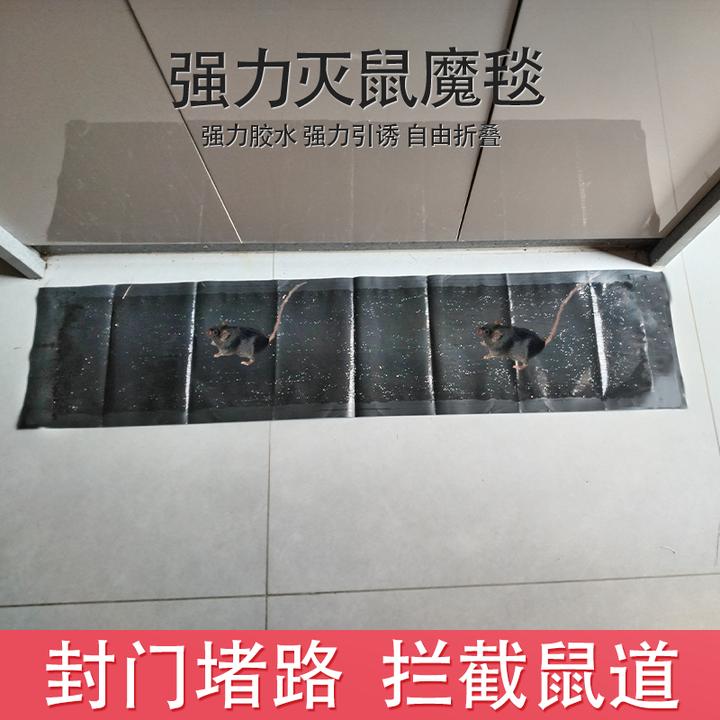 粘鼠毯粘鼠板强力超大号强力胶粘大老鼠捕鼠神器粘鼠板魔毯抓灭鼠