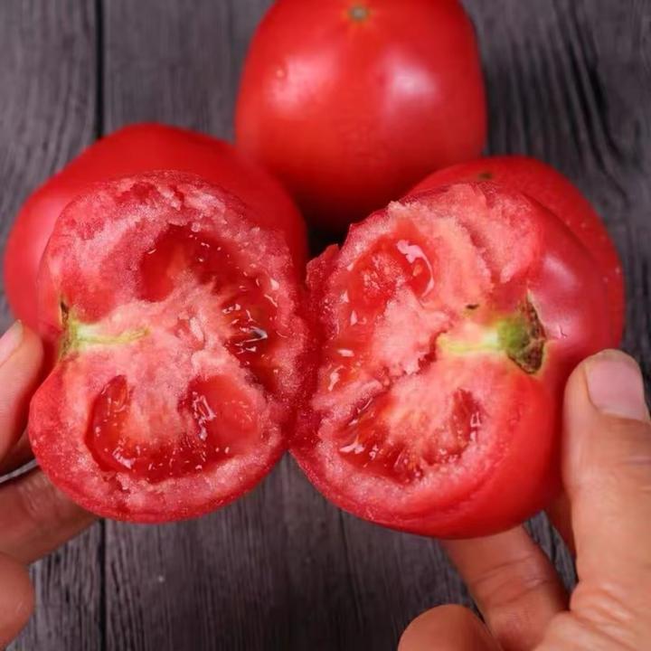 沙瓤西红柿自然熟番茄酸甜多汁产地直销应季生鲜水果蔬菜新鲜采摘