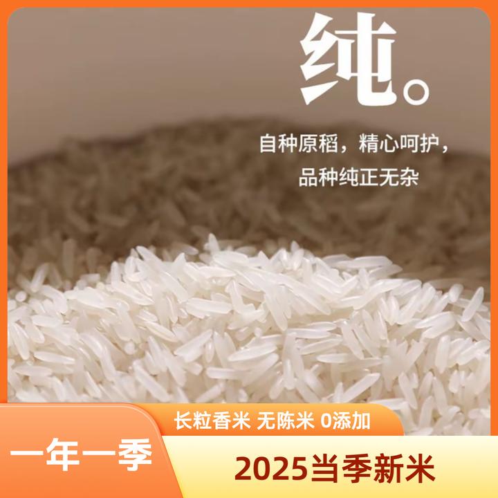 青禾粒玉晶米2025年新米长粒香米大米10斤鲜米一级晚稻好消化Q弹