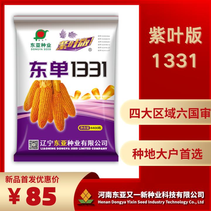 紫叶版东单1331玉米种全国四大区域六国审抗性全产量高