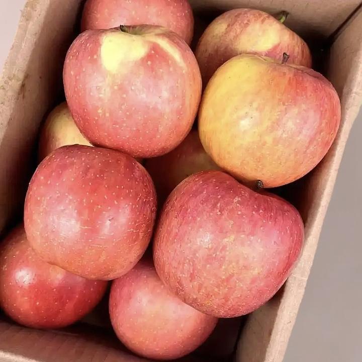 新疆正宗阿克苏冰糖心苹果新鲜水果应季阿克苏苹果