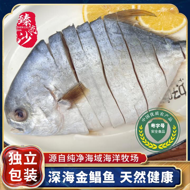 广东湛江海鲜金鲳鱼生鲜海鲜速冻金昌鱼免洗免腌二去配料表干净
