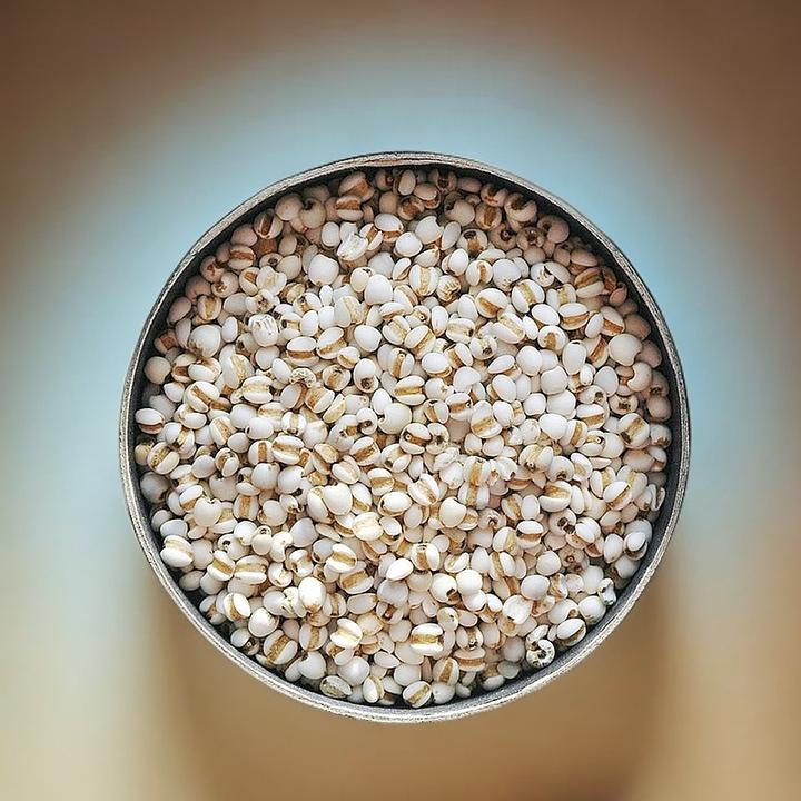 小薏米生薏米新货小生贵州新货薏米纯薏米可搭配红豆赤小豆煮水