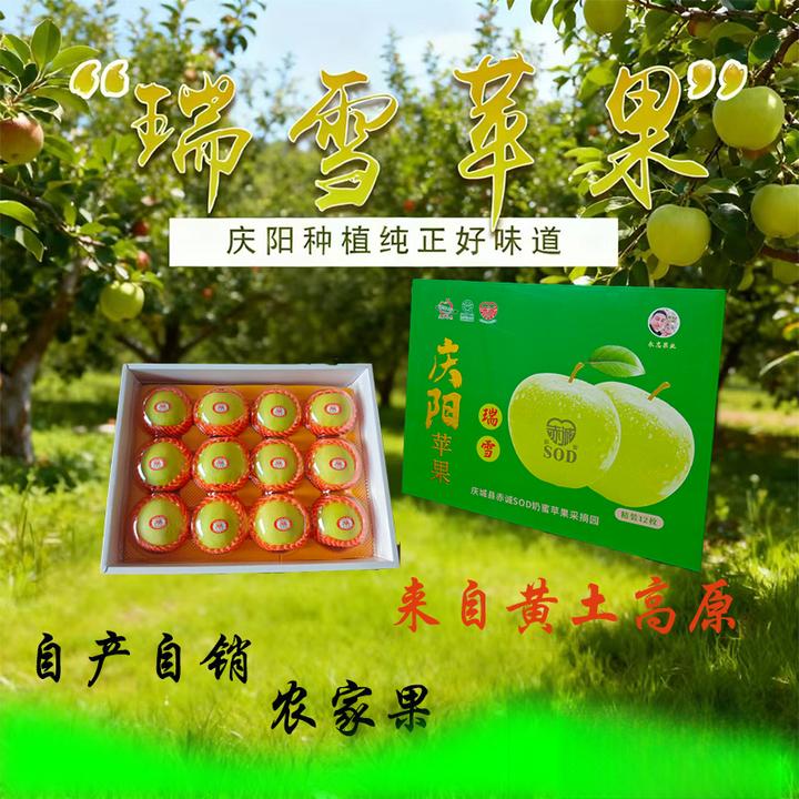 甘肃庆阳瑞雪苹果新鲜脆甜无酸爽口正宗农家果