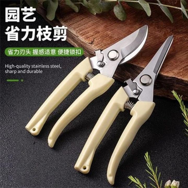 家用剪刀奶白色不锈钢修枝绿植园艺摘果剪花艺剪刀插花工具剪园林