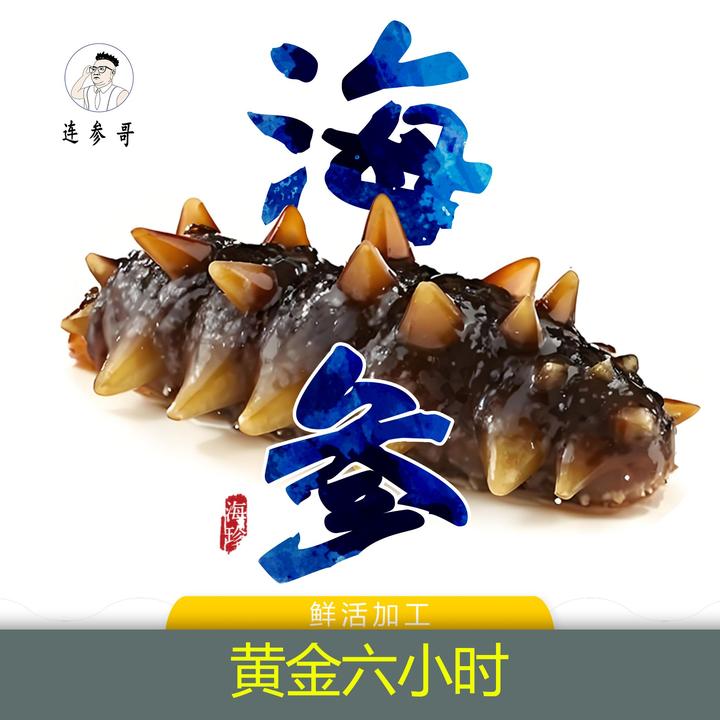【连参哥】精品辽参大连即食海参 营养丰富 包邮500g/袋（8-10头）