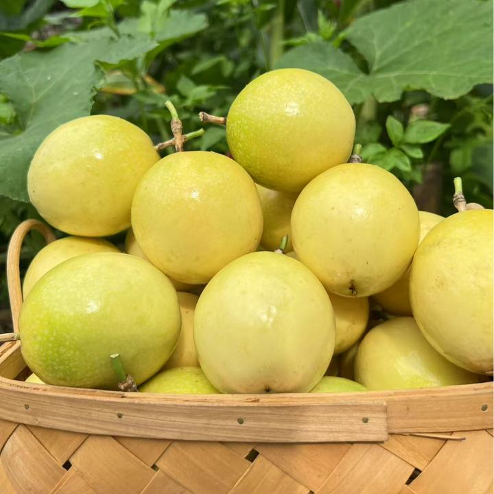 正宗广西罗城黄金百香果当季新鲜水果香甜多汁将军