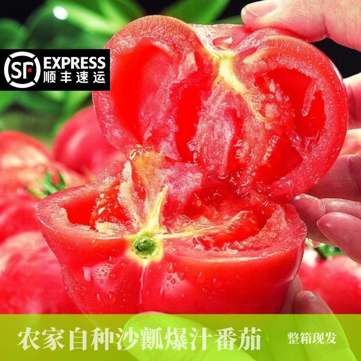 顺丰包邮｜普罗旺斯水果西红柿产地直发农家自种酸甜爆汁沙瓤番茄