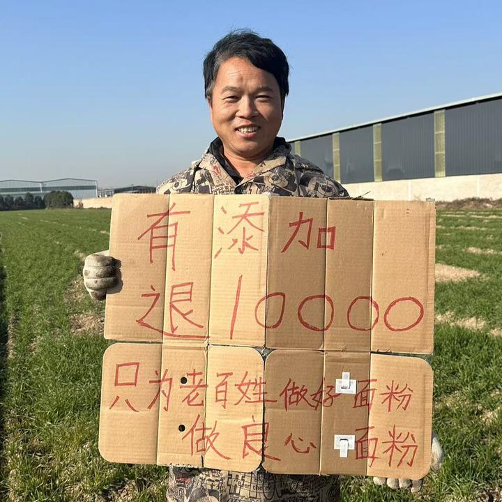 【现磨现发】70粉陕西农家自磨小麦面粉新国标无添加无提取包子饺子