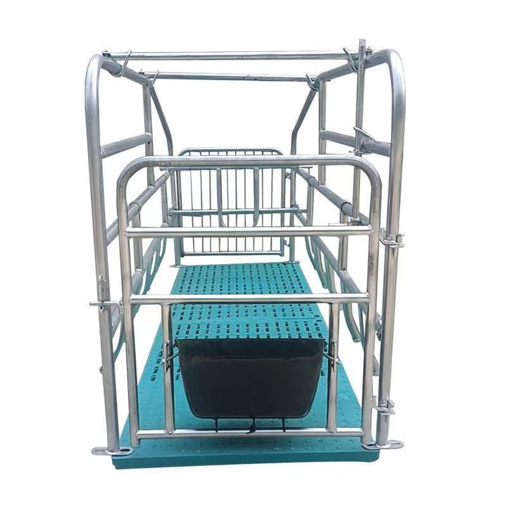 母猪定栏限位养猪新款加厚产床漏粪包邮产床简易保育母猪产床