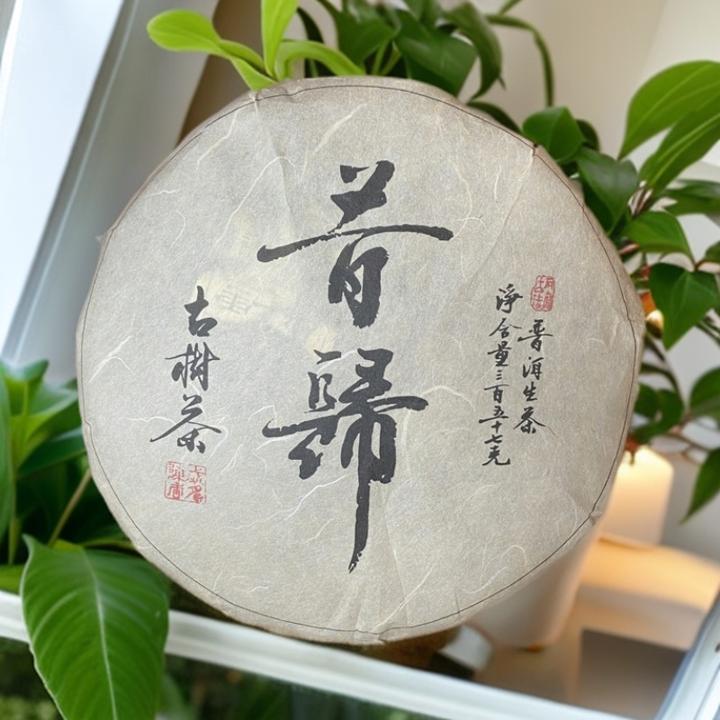 昔归头春普洱茶生茶 昔归古树 云南头春古树普洱生茶饼茶批发