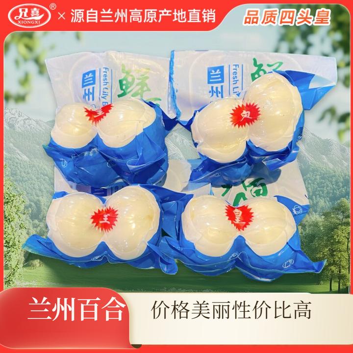 兰州新鲜百合四头皇甘肃特产甜百合蔬菜水果百合