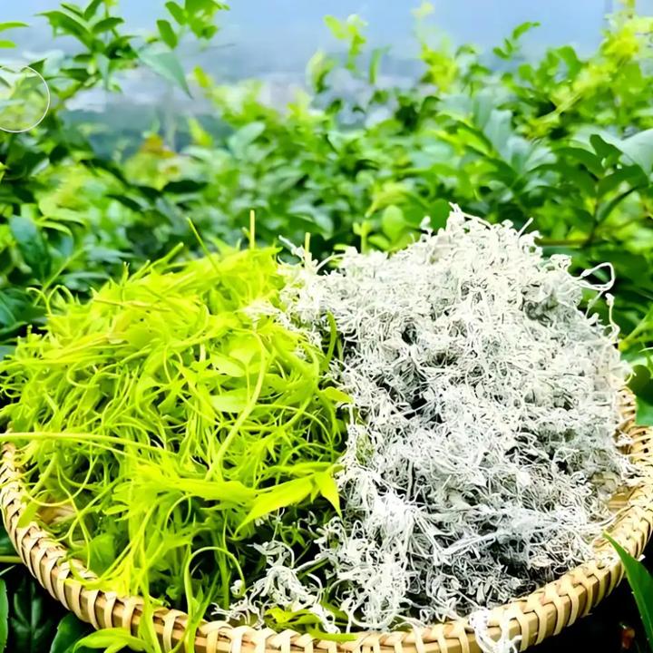 2025年新茶沙道湾恩施来凤藤茶富含黄酮 支持开袋试喝20g