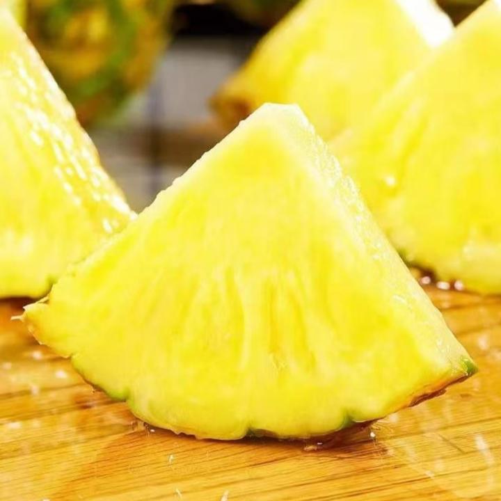 当季限定Philippines黑标凤梨2/3颗装【京东包邮】