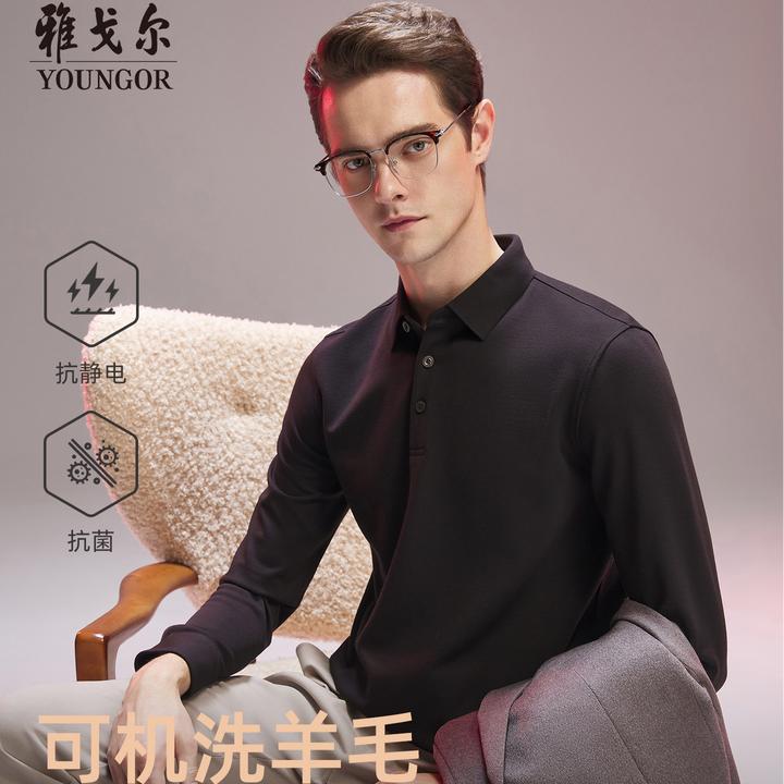 【可机洗绵羊毛+抗菌抗静电】雅戈尔新款秋冬翻领长袖POLO衫男士