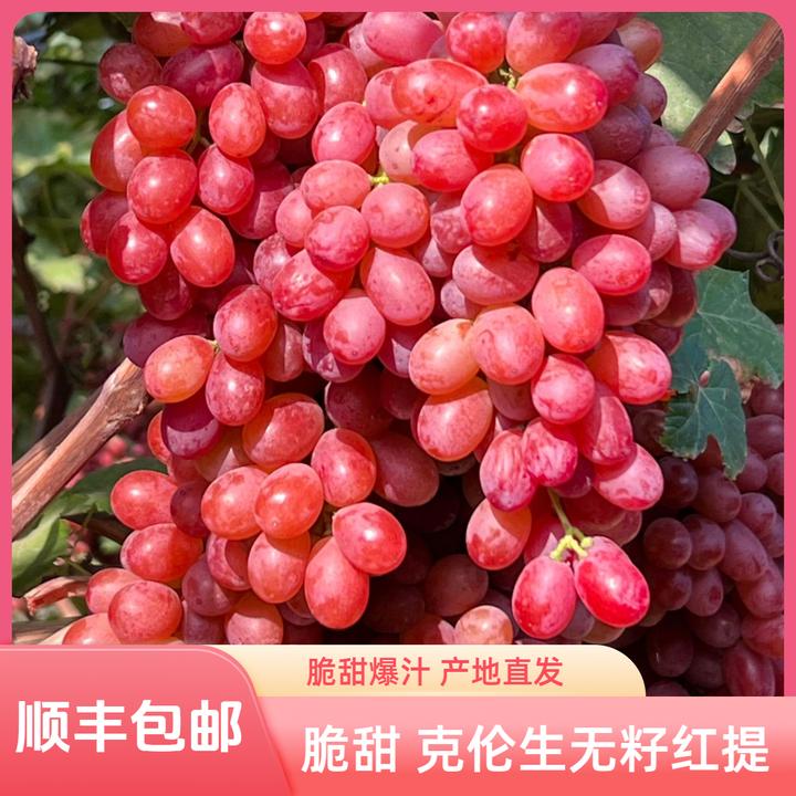 【顺丰包邮】克伦生无籽红提葡萄脆甜爆汁新鲜采摘产地直发