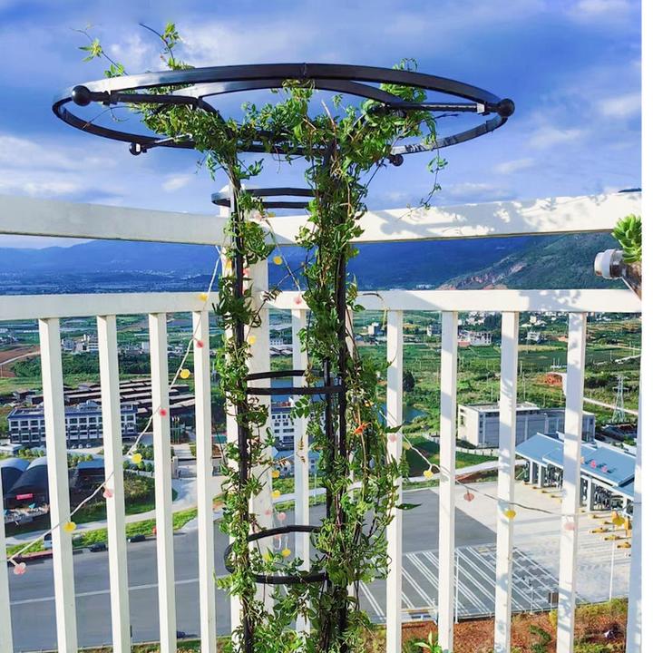 伞形花架月季爬藤架园艺支架阳台庭院户外玫瑰攀爬支撑花架支撑杆