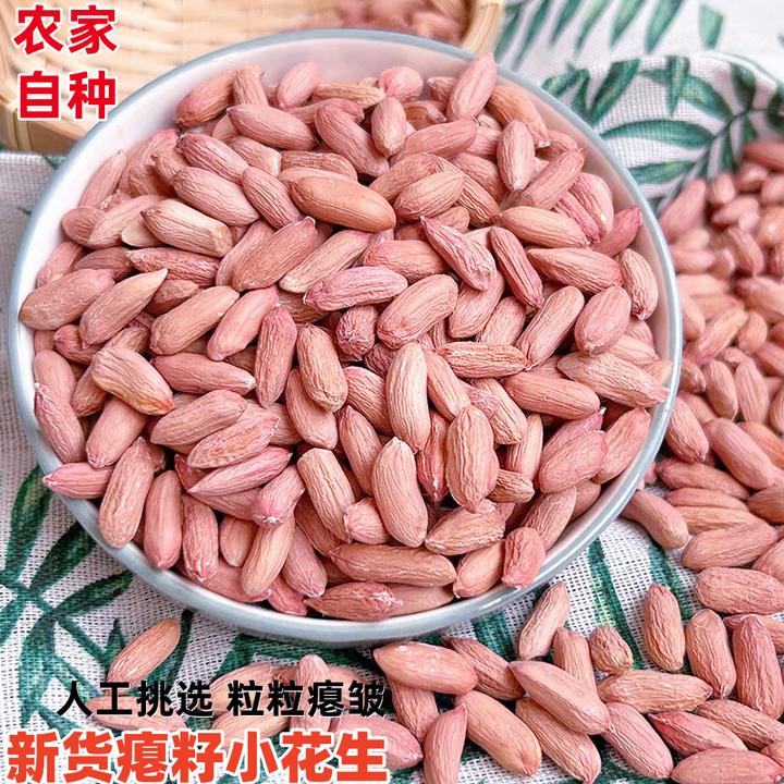 当季瘪花生土特产山东花生米小粒生秕甘甜低油清香农家手工挑选