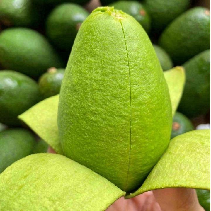 【顺丰包邮】秘鲁哈斯牛油果180-280g新鲜鳄梨孕妇宝宝辅食整箱