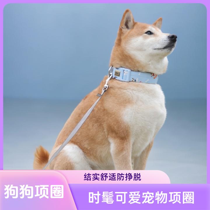 宠物脖套新款布艺狗狗项圈结实狗狗牵引绳猫狗项圈防挣脱印花脖圈