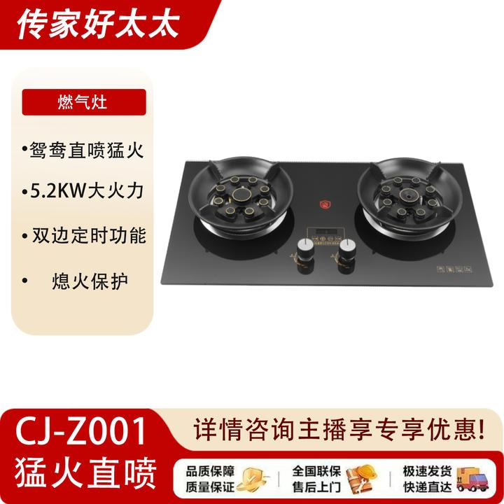 传家好太太全封闭鸳鸯猛火直喷家用双灶燃气灶猛火灶