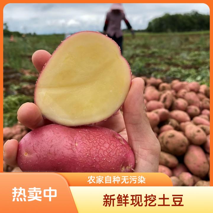 特大土豆20斤一袋云南红皮土豆原产地现采现发新鲜起皮农民自种