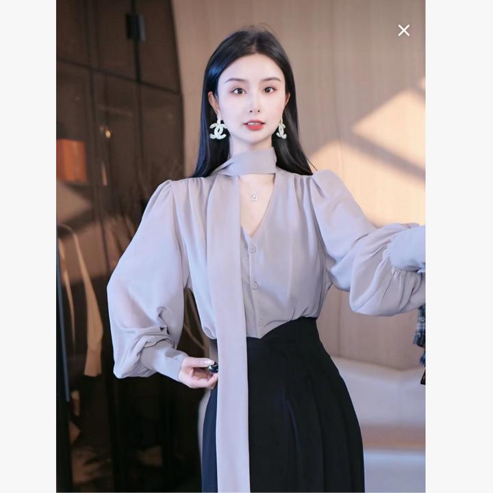 刘欣服饰 2025新款秋装气质显瘦时尚网红长袖轻奢百搭上衣2866