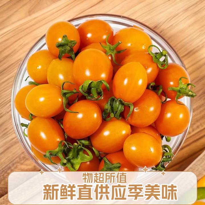 福建黄色樱桃小番茄黄金圣女果新鲜孕妇水果非千禧西红柿现摘现发