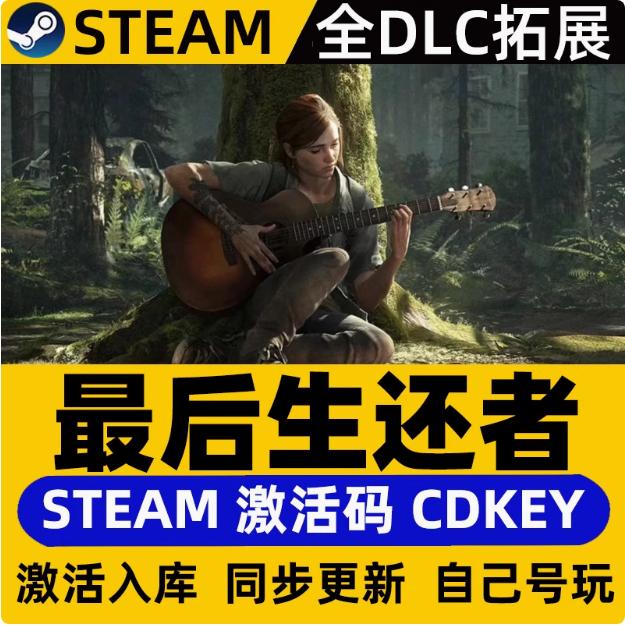 最后生还者2 PC端   激活码兑换steam入库  电脑游戏DLC