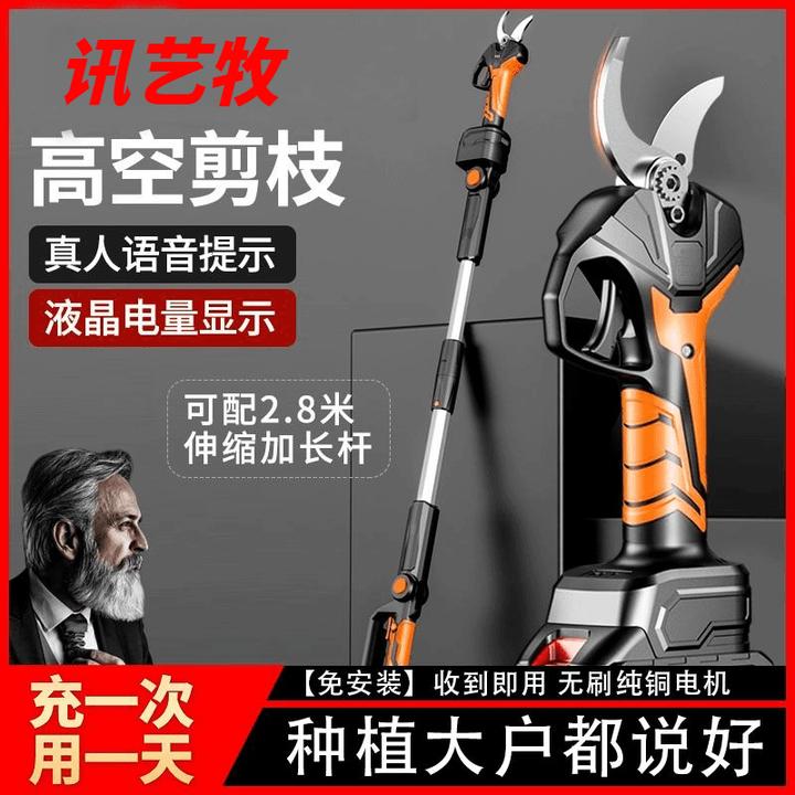德国进口电动剪刀修枝剪果树无线锂电粗枝充电式强力园艺树枝剪子