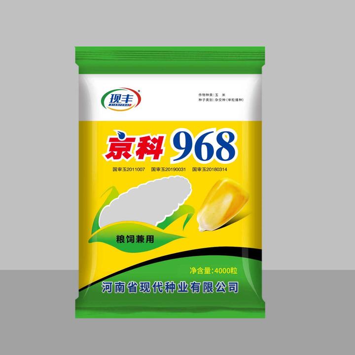 现丰京科 968 玉米品种 矮杆大棒 早熟抗倒 春季种植