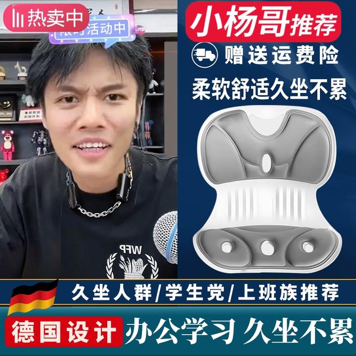BK人体工学椅护腰坐姿椅坐垫腰靠办公室座椅靠背垫宝妈喂奶护腰T