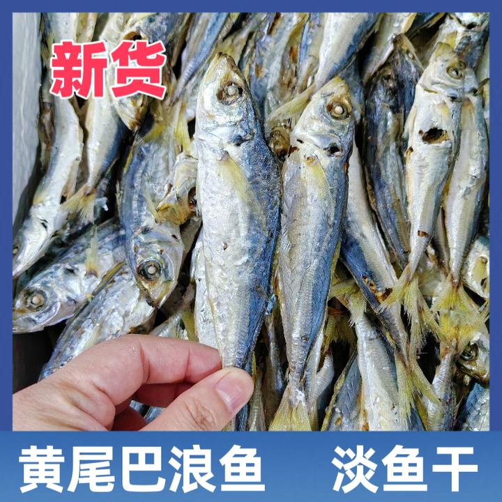 新鲜鱼干黄尾巴浪鱼鱼干淡口鱼干新货小鱼干