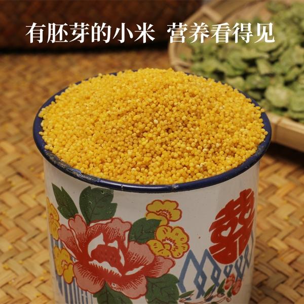 【黄小米】陕北石碾黄小米香糯粘稠营养丰富小米粥米脂月子米